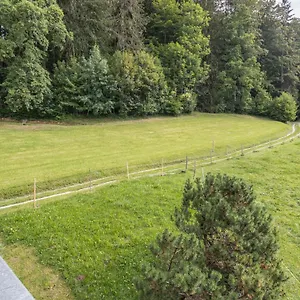 Apartment Ferienwohnung Oberrißtraum, Schliersee